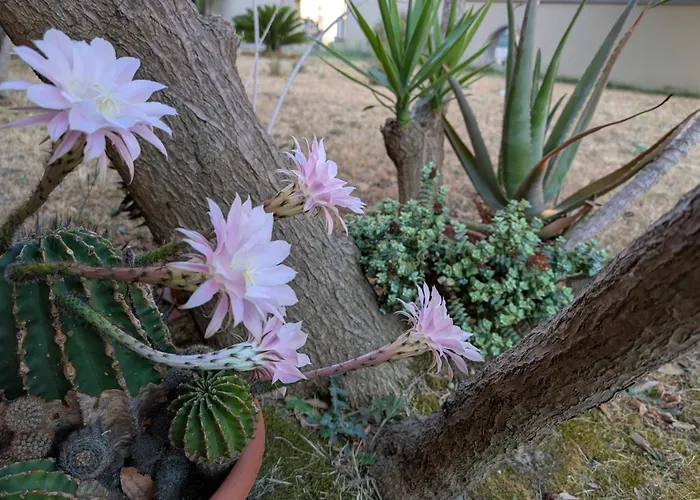 Navacchio Pisa 2b Apartament *