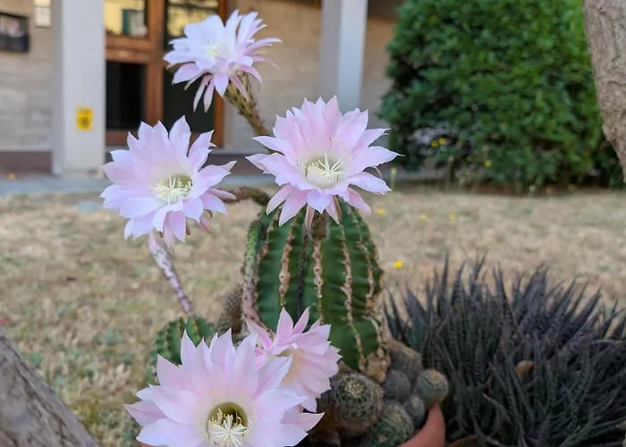 Apartament Navacchio Pisa 2b *